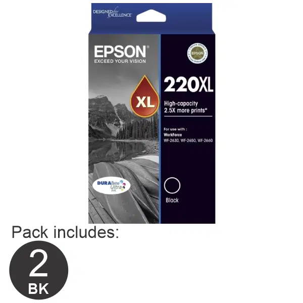 2 x Epson 220XL High Yield Black Ink Cartridge C13T294192