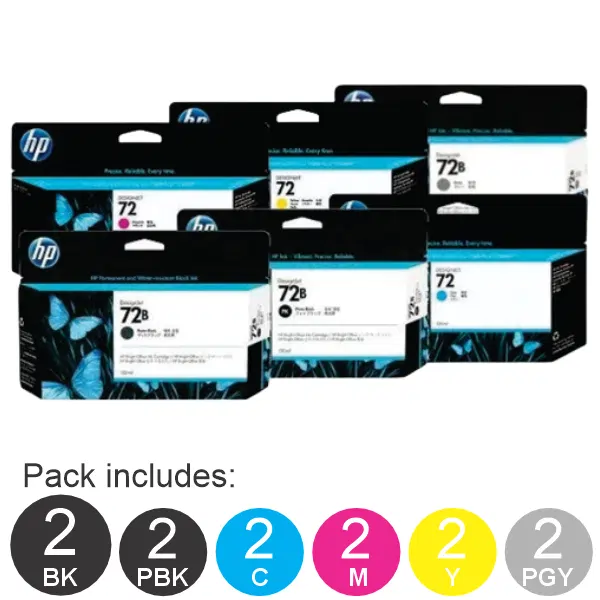 12 Pack – HP #72 (2MBK,2PBK,2C,2M,2Y,2PGY)